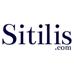 stilis logo